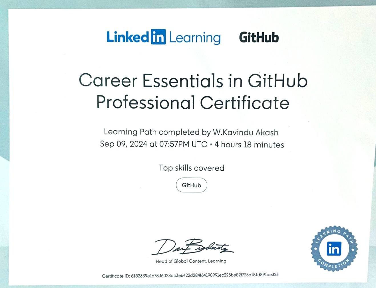 GitHub Professional Certificate